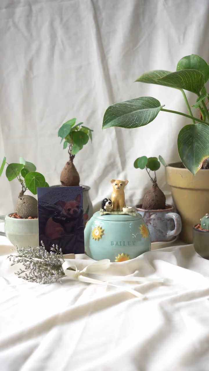 A finished ceramic urn with Bailey’s name on it, filmed beside a photo of Bailey