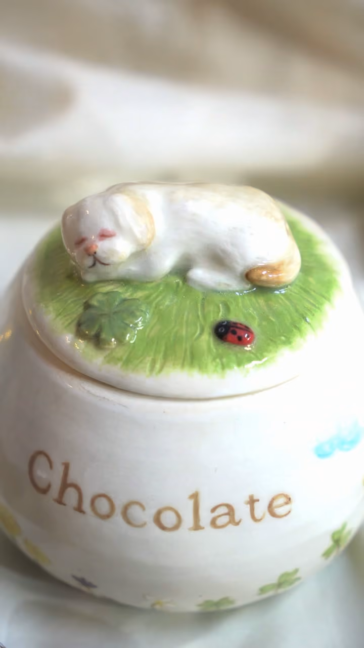 A finished ceramic urn with Chocolate’s name on it, filmed beside a photo of Chocolate