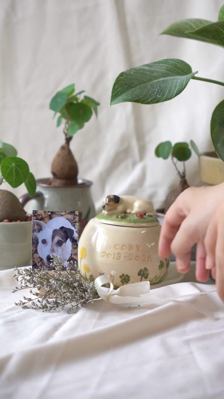A finished ceramic urn with Coby’s name on it, filmed beside a photo of Coby