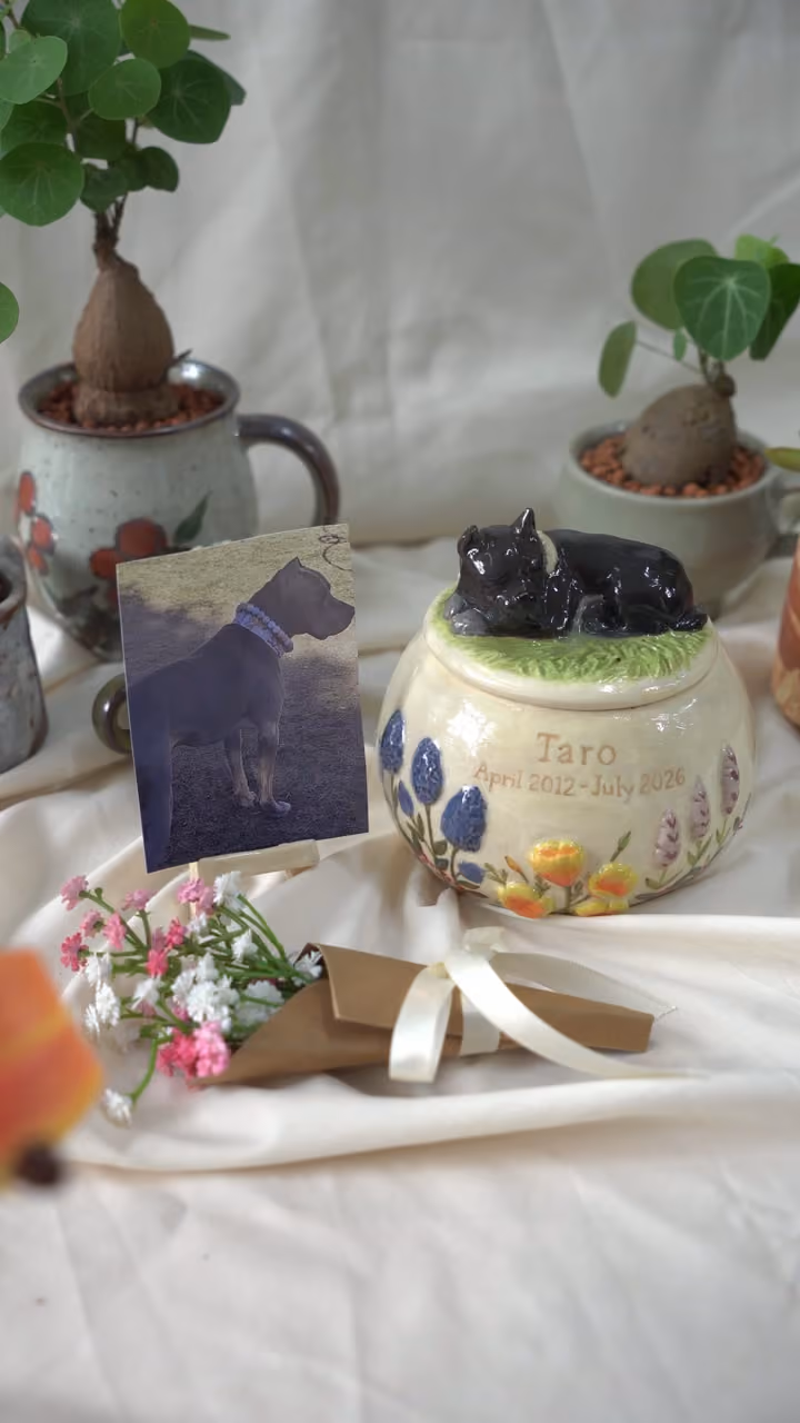 A finished ceramic urn with Taro’s name on it, filmed beside a photo of Taro