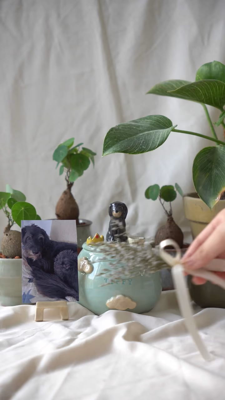 A finished ceramic urn with Tippy’s name on it, filmed beside a photo of Tippy
