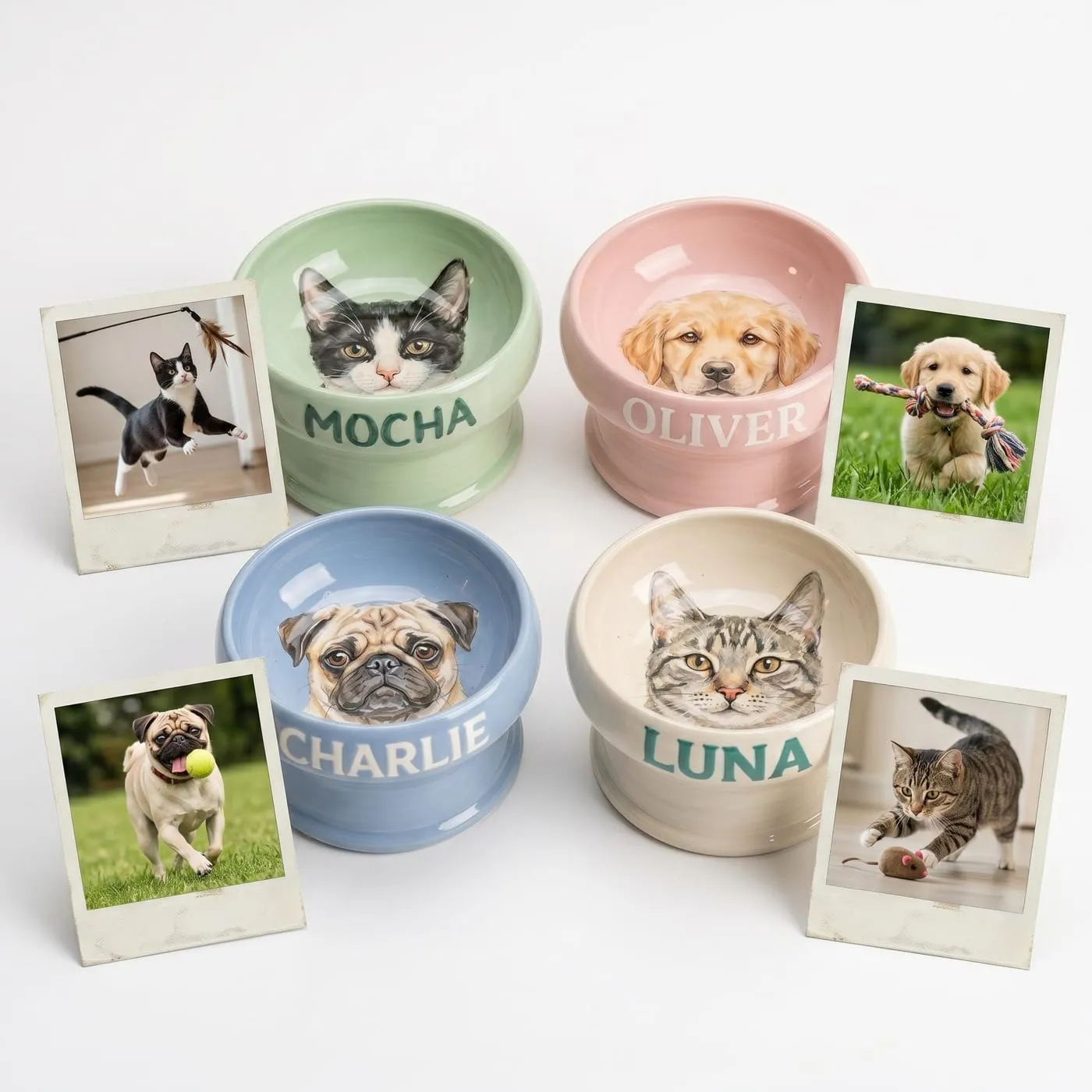 Four painted ceramic bowls with portraits of a black and white cat, a golden retriever puppy, a pug and a tabby cat, each named on the bowl and shown beside a printed photograph of the animal it was painted from