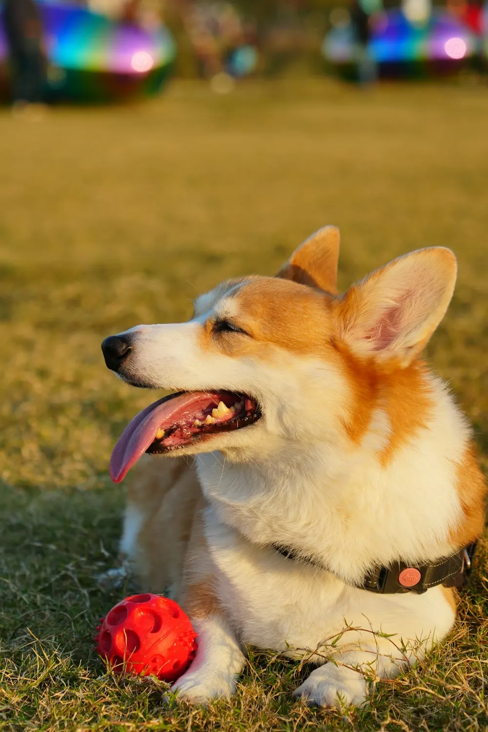 With the red ball
